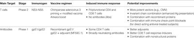 Hepatitis C Vaccines, Antibodies, and T Cells